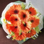 ช่อสีส้ม