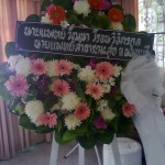 ภาพถ่าย0535