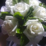 ภาพถ่าย0537