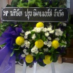 ภาพถ่าย0540