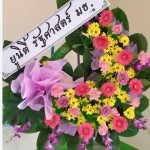 20140305_163255_Richtone(HDR)