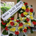 20140308_180609_Richtone(HDR)[1]